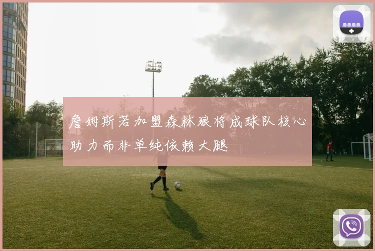 詹姆斯若加盟森林狼将成球队核心助力而非单纯依赖大腿